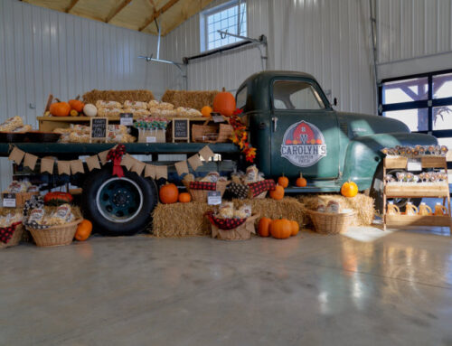 Voted Best Pumpkin Patch in Missouri by Reader’s Digest