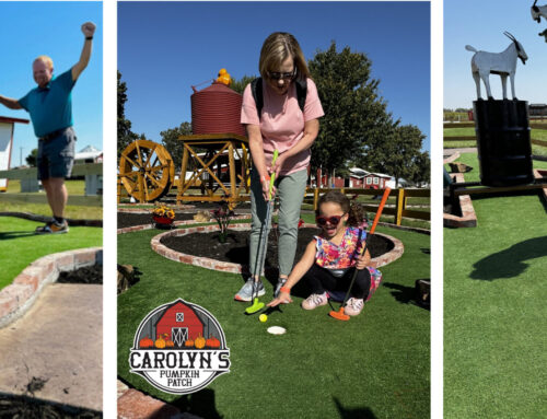 Introducing Barnyard Mini Golf: New for 2024 at Carolyn’s Pumpkin Patch!