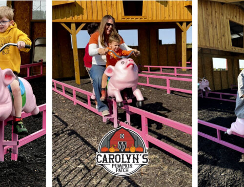 NEW for 2024 at Carolyn’s Pumpkin Patch: Flying Pigs!