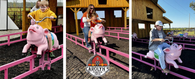 Flying Pigs at Carolyn's Pumpkin Patch