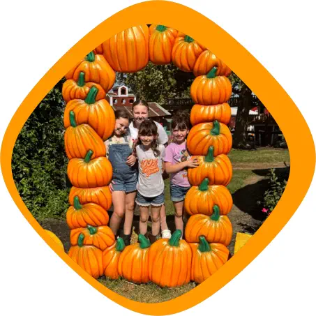 Pumpkin Patch