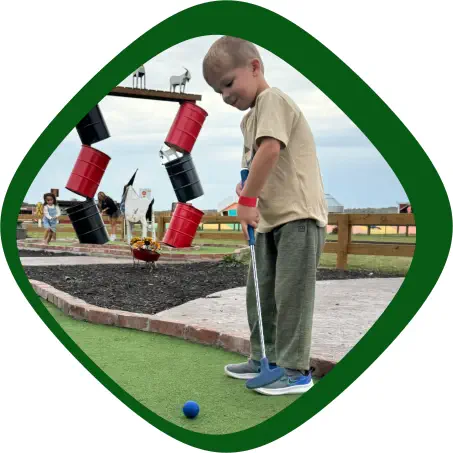 Activities and Attractions at Carolyn's Pumpkin Patch