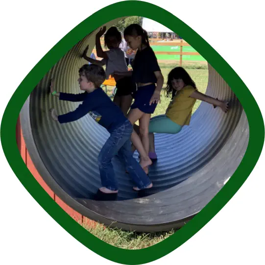 Barn Twister at Carolyn's Pumpkin Patch