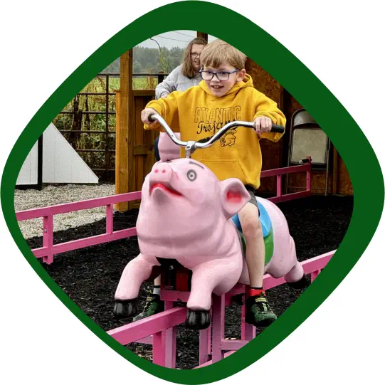 Flying Pigs at Carolyn's Pumpkin Patch