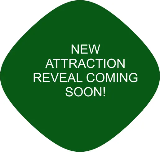 New Attraction